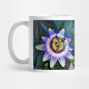 Passion Flower Summer Flowering Plant Mug